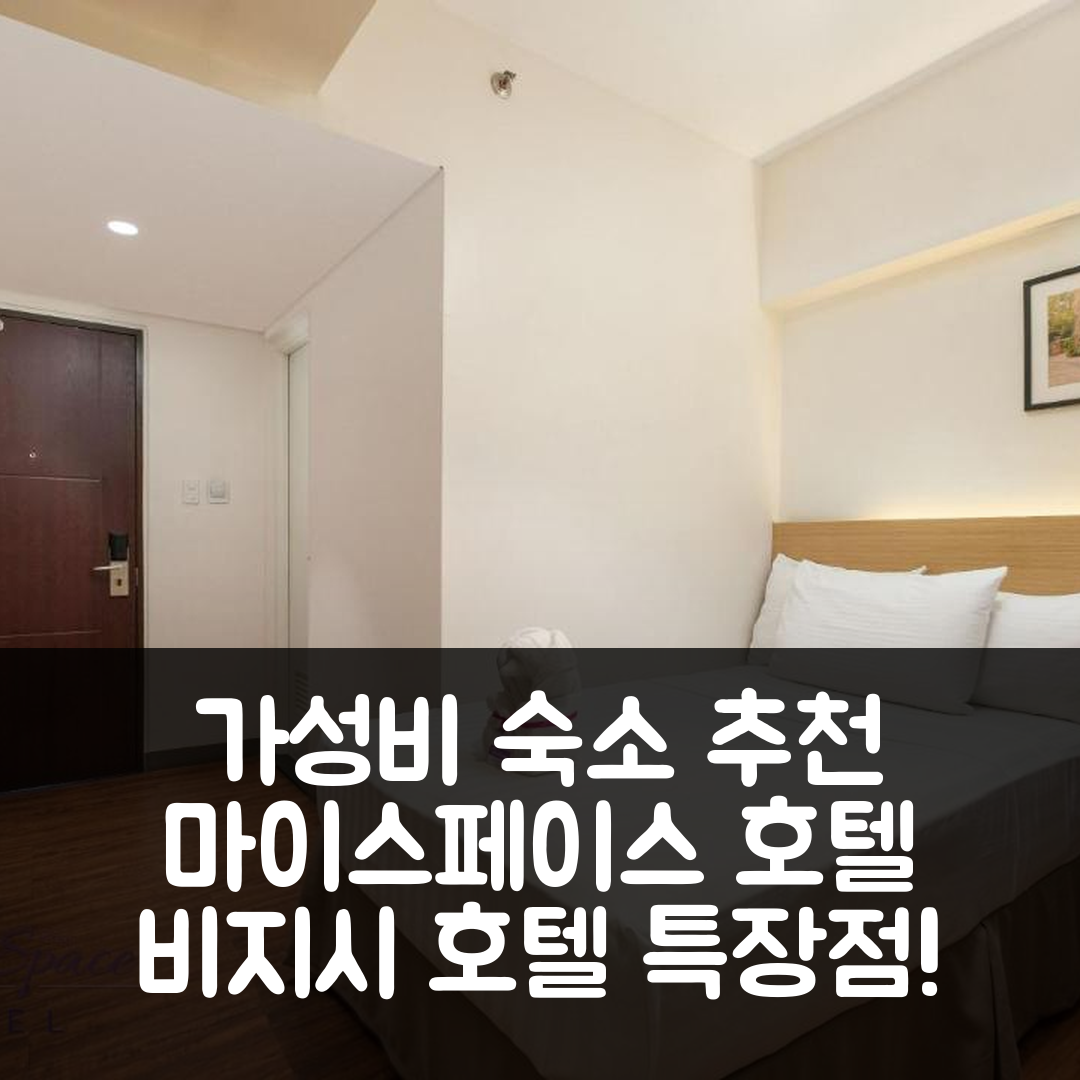 마닐라 숙소 여행 호텔 추천 마이스페이스 호텔 비지시 호텔 | 가성비 뛰어난 위치와 수영장 조식 7가지 장점