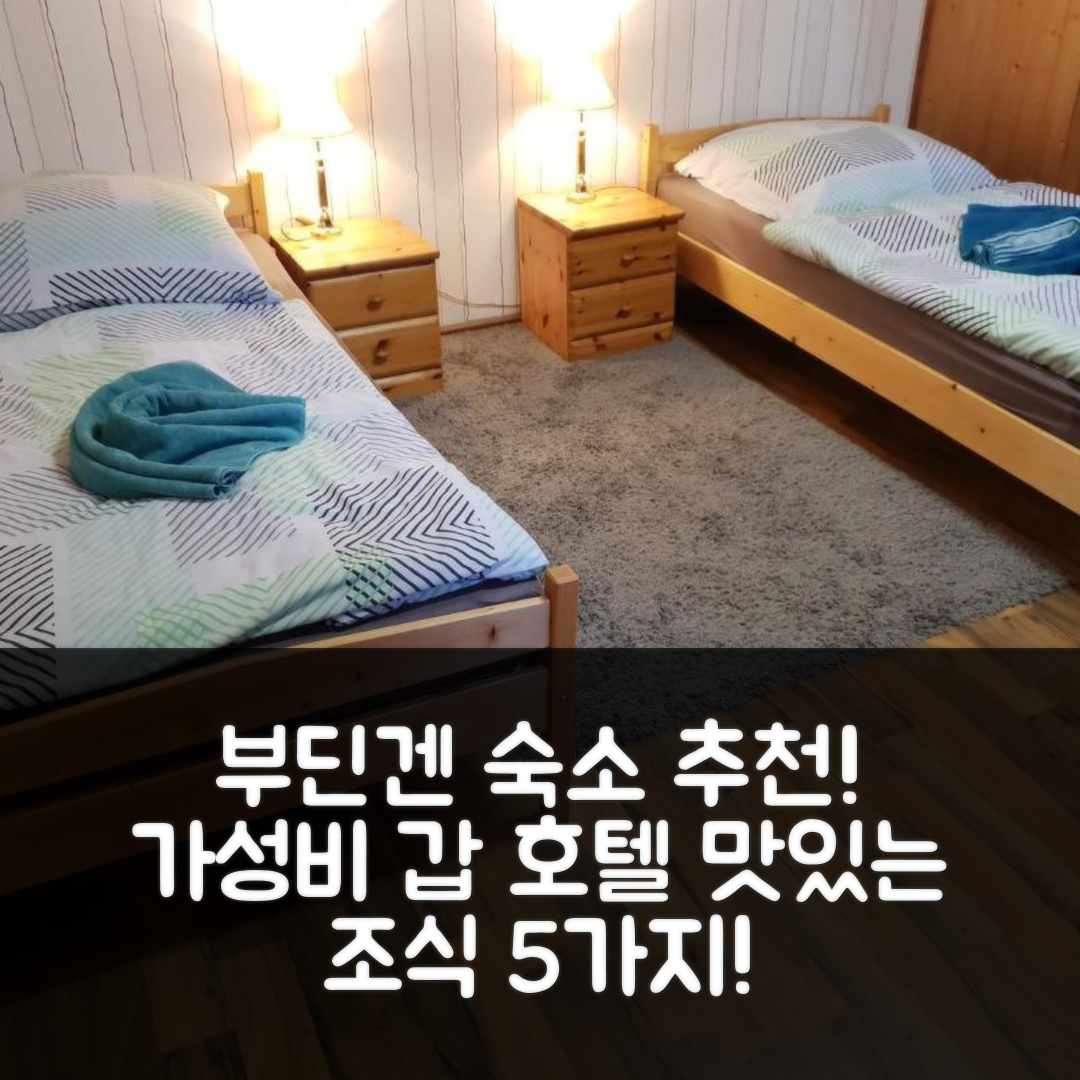 부딘겐 숙소 여행 호텔 추천 두두스 가스트하우스 | 가성비 뛰어난 위치와 조식 정보 5가지