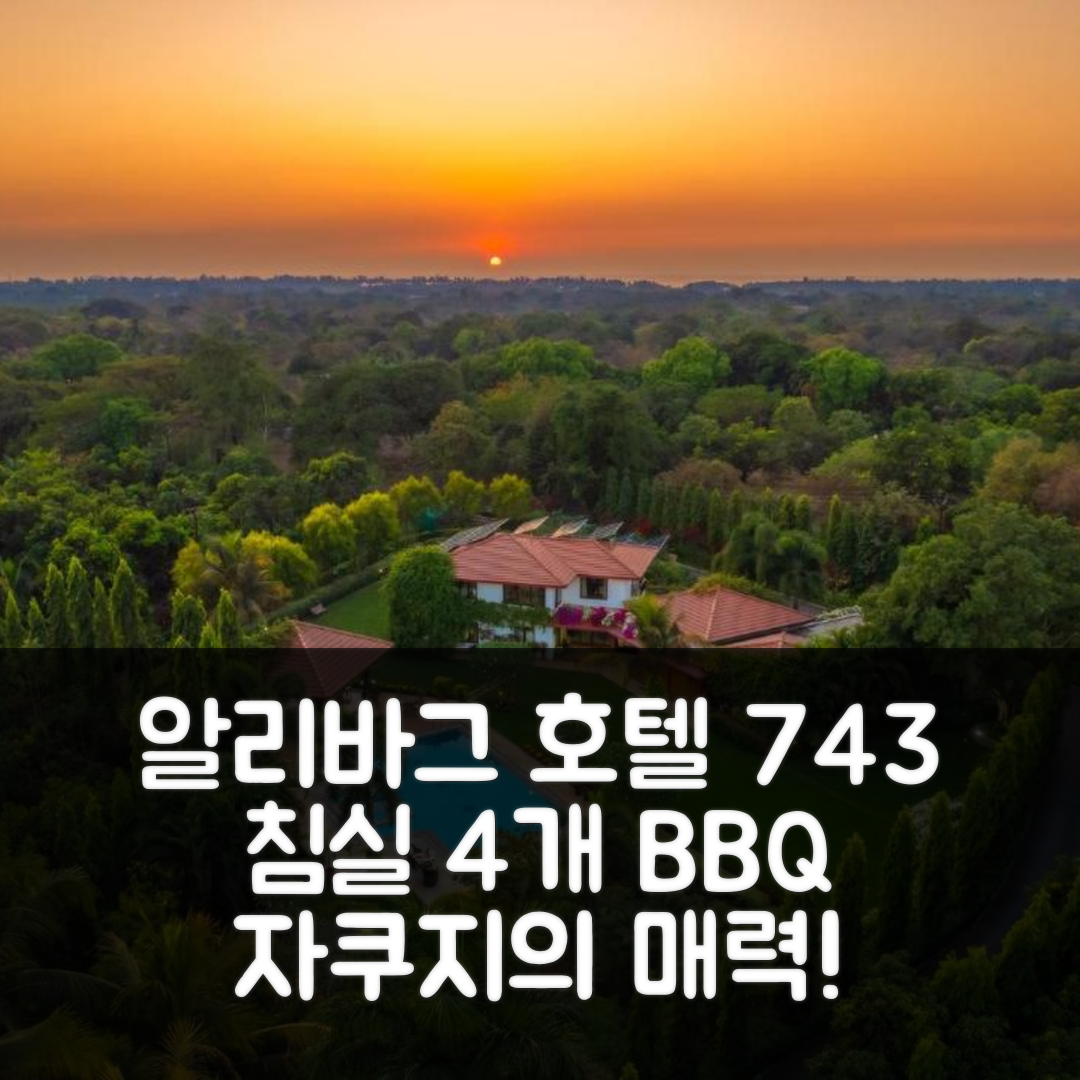 알리바그 숙소 여행 호텔 추천 지라드의 743m² 침실 4개와 BBQ 자쿠지 4가지 매력과 예약 팁