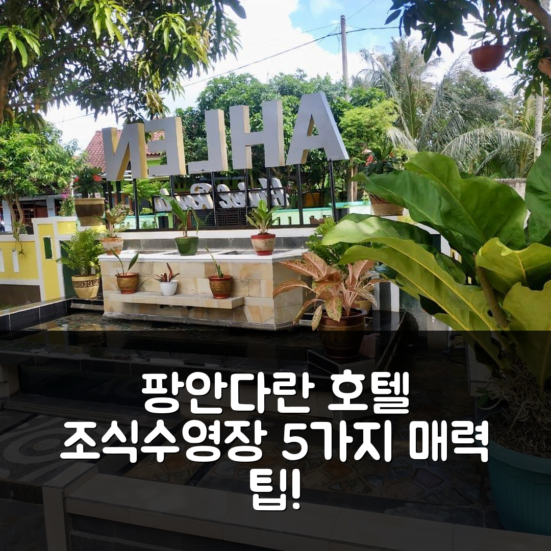 팡안다란 숙소 여행 호텔 추천 위스마 아렌 팡안다란 | 조식과 수영장이 매력적인 5가지 팁