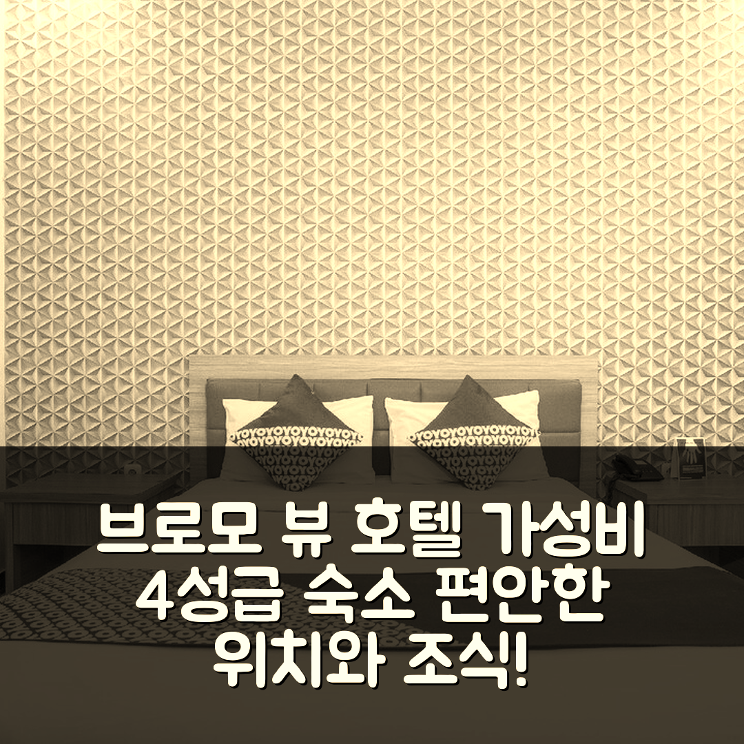 프로볼링고 숙소 여행 호텔 추천 브로모 뷰 호텔 | 가성비 좋은 4성급 조식과 편안한 위치 7가지 팁