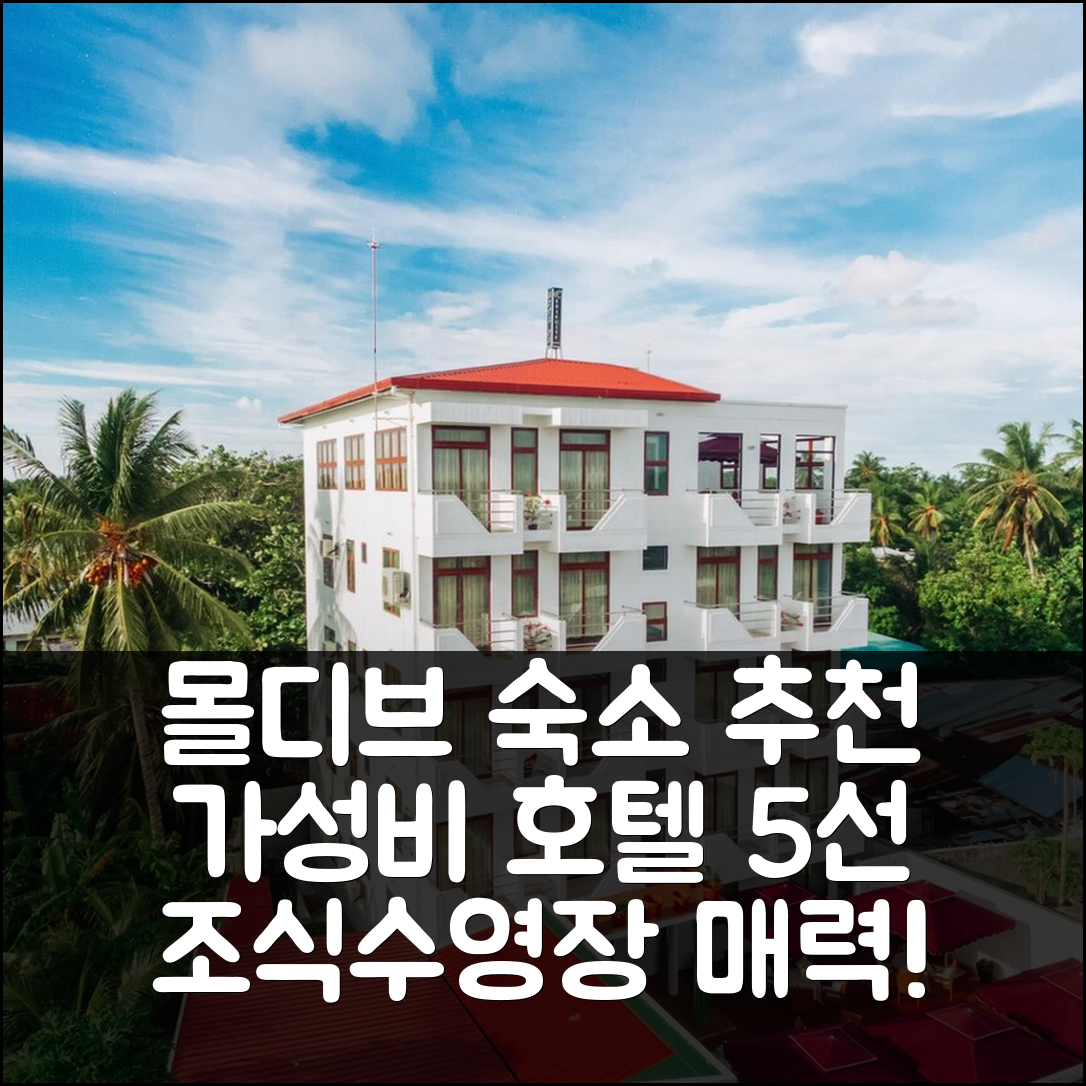 몰디브 아일랜드 숙소 여행 호텔 추천 레키디예 인 | 조식과 수영장이 매력적인 가성비 호텔 5가지 팁