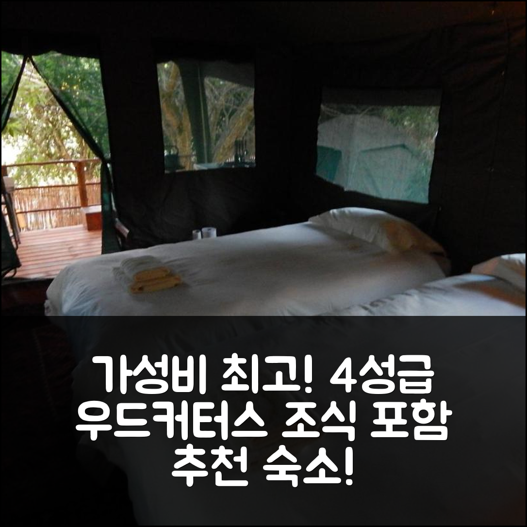 윌더니스 숙소 여행 호텔 추천 우드커터스 부시 캠프 | 가성비 뛰어난 4성급 위치와 조식 정보 7가지