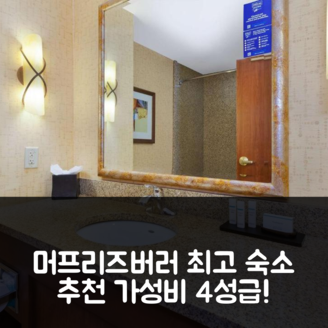 머프리즈버러 숙소 여행 호텔 추천 엠버시 스위트 | 가성비 뛰어난 4성급 조식과 수영장 정보 6가지