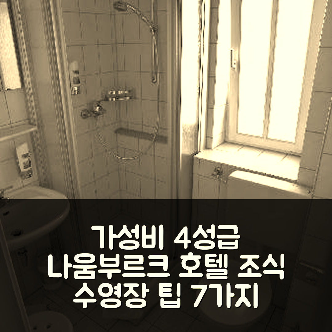나움부르크 숙소 여행 호텔 추천 주르 알텐 슈미데 | 가성비 좋은 4성급 조식과 수영장 예약 팁 7가지