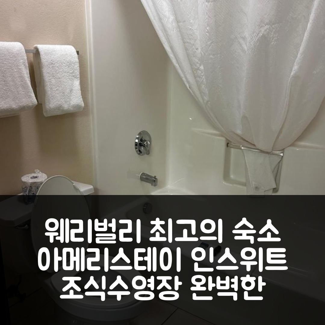 웨리벌리 숙소 여행 호텔 추천 아메리스테이 인 앤 스위트 | 가성비 최고의 조식과 수영장 5가지 장점
