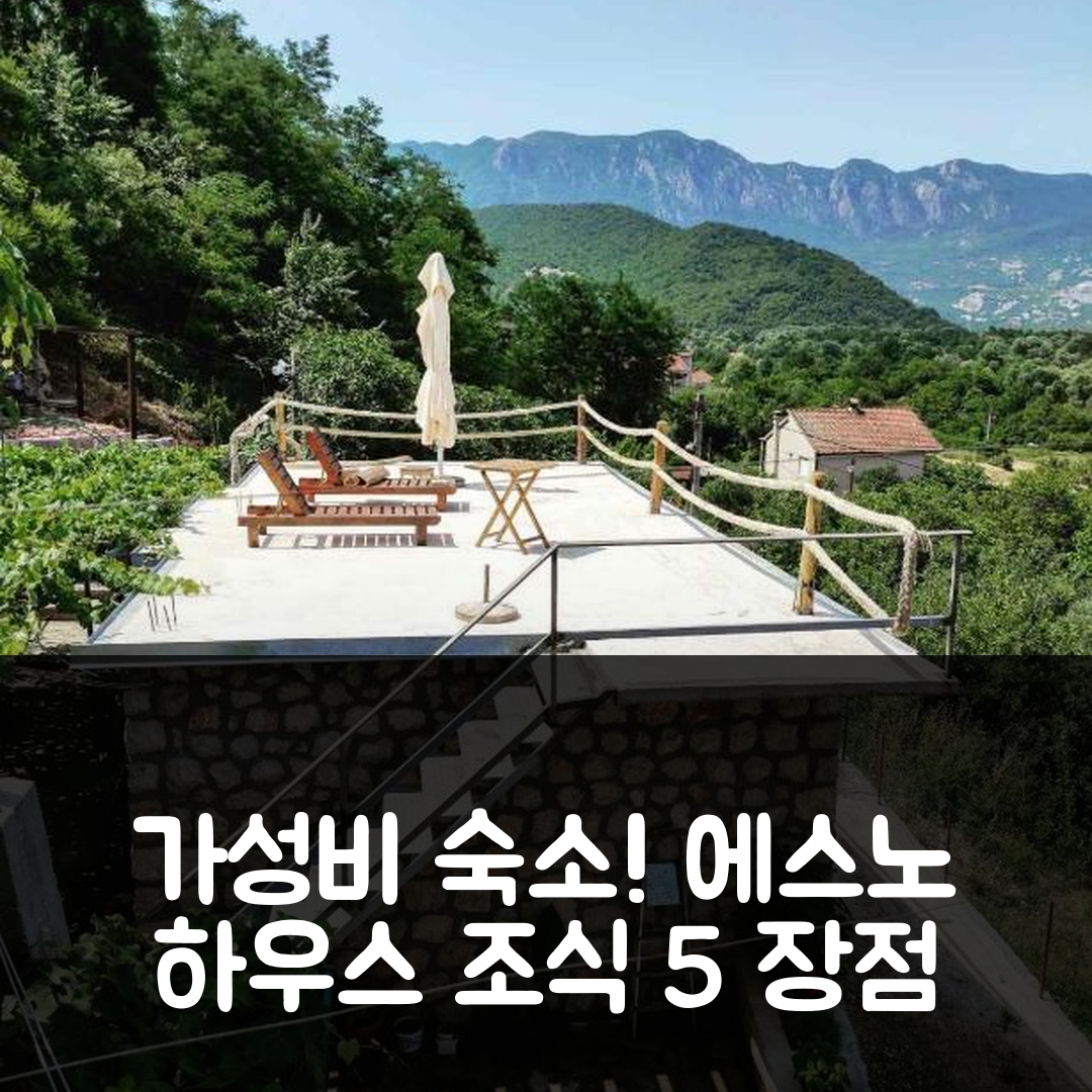 비르파자 숙소 여행 호텔 추천 에스노 하우스 오소박 | 가성비와 조식이 뛰어난 5가지 이유