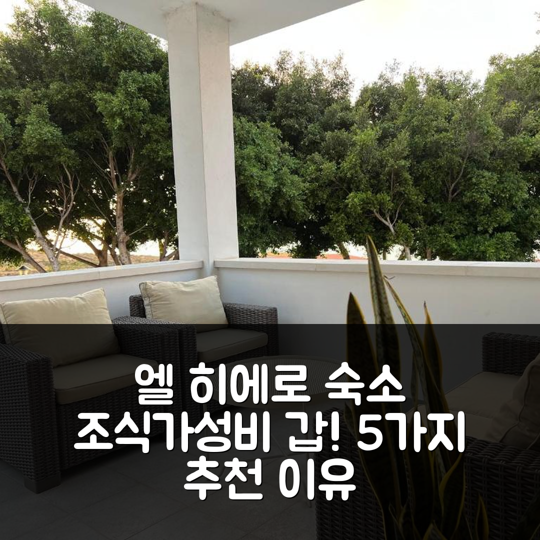 엘 히에로 숙소 여행 호텔 추천 카사 라 후요나 | 조식과 가성비 뛰어난 5가지 이유