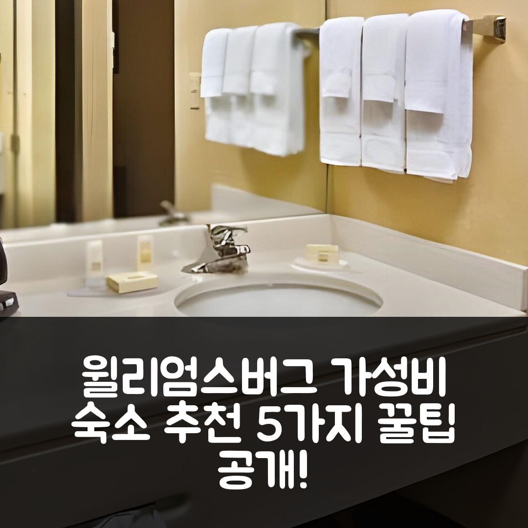윌리엄스버그 숙소 여행 호텔 추천 코트야드 윌리엄즈버그 부시 가든 에어리아 | 가성비 뛰어난 3성급 조식과 편리한 위치 5가지 팁