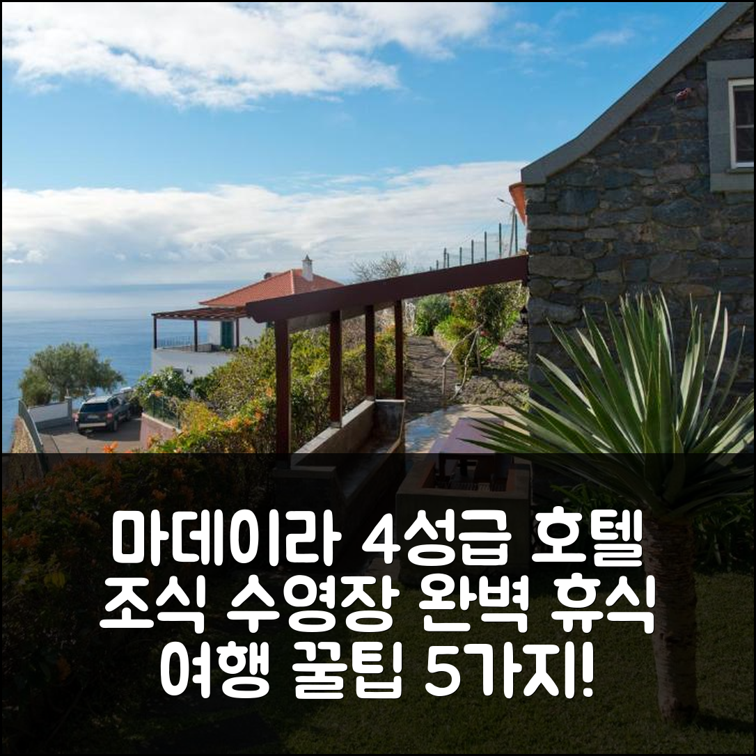 마데이라 섬 숙소 여행 호텔 추천 카사 다 만타 팔헤이로 | 4성급 조식과 수영장으로 즐기는 완벽한 휴식 5가지 팁