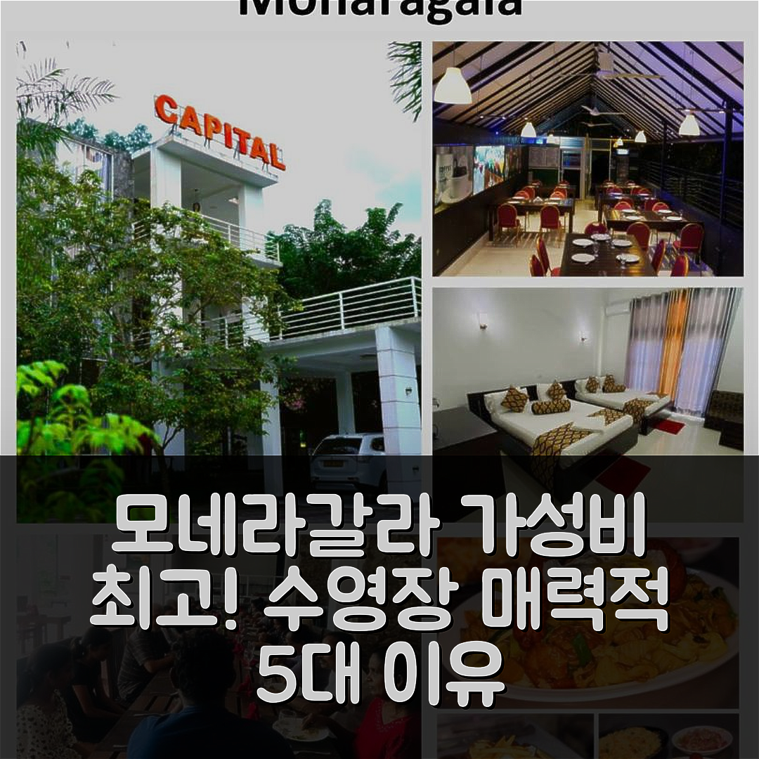 모네라갈라 숙소 여행 호텔 추천 캐피탈 리조트 인 | 가성비와 수영장이 매력적인 5가지 이유