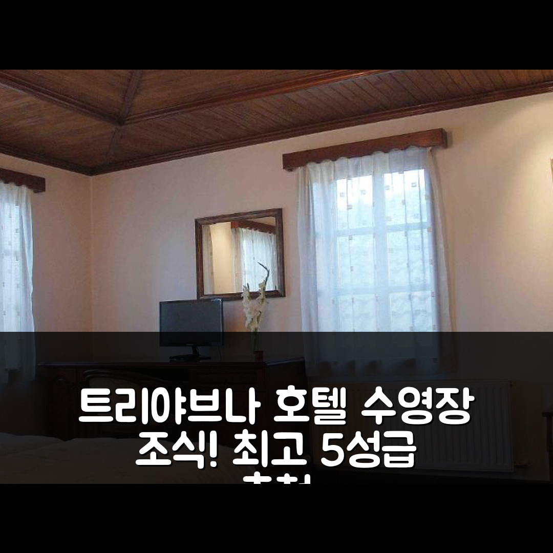 트리야브나 숙소 여행 호텔 추천 아트 - 앰갤러리 호텔 | 수영장과 조식이 매력적인 5성급 호텔 7가지 장점