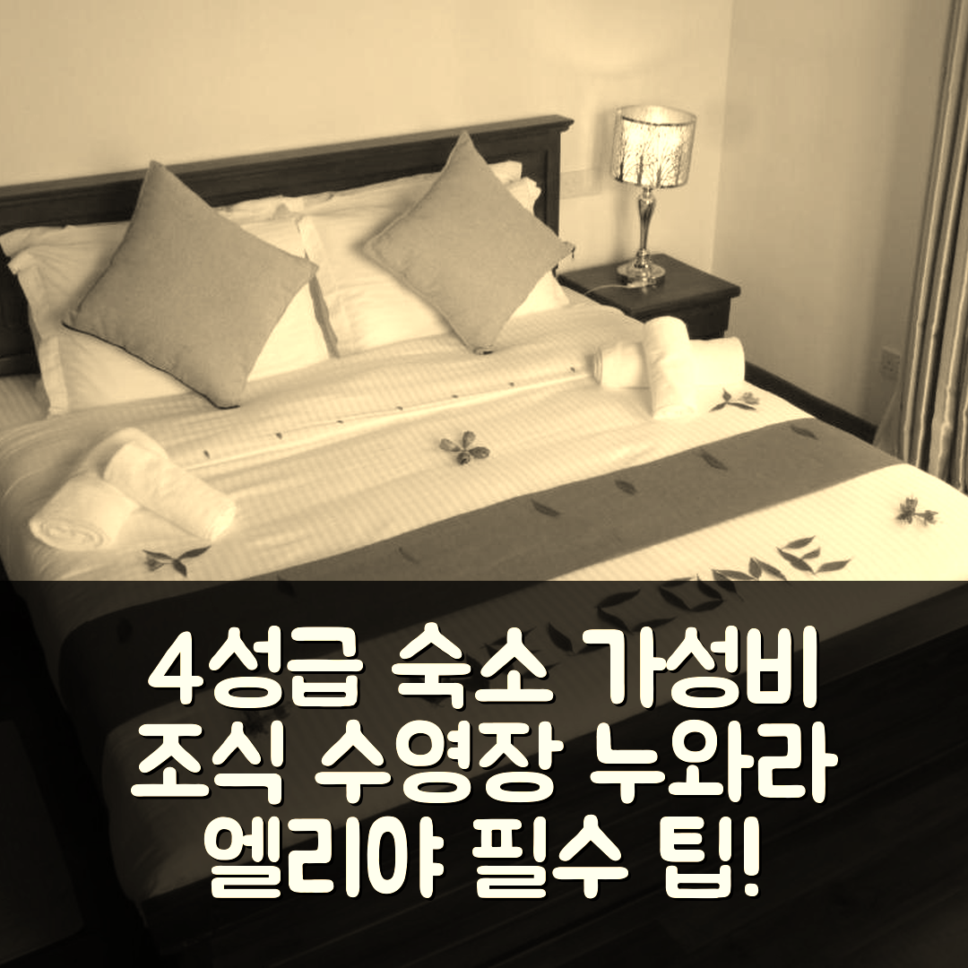 누와라 엘리야 숙소 여행 호텔 추천 대포딜스 호텔 | 4성급 가성비 조식과 수영장 완벽 조화 7가지 팁